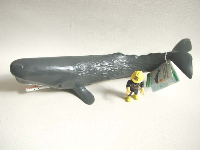 ＊サメ・クジラ　オーダー受付中＊ 学研の図鑑LIVE エクストリーム|サメ|アクアワールド茨城県大洗